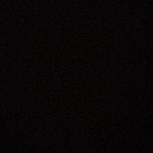 Meet your Posher, Bella